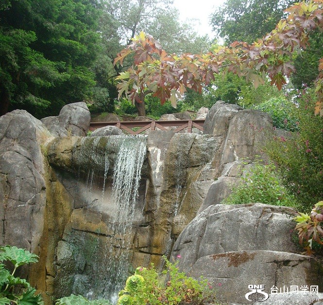 DSC01333-d.jpg