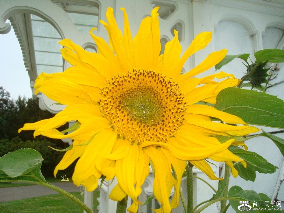 DSC01209-d2.jpg
