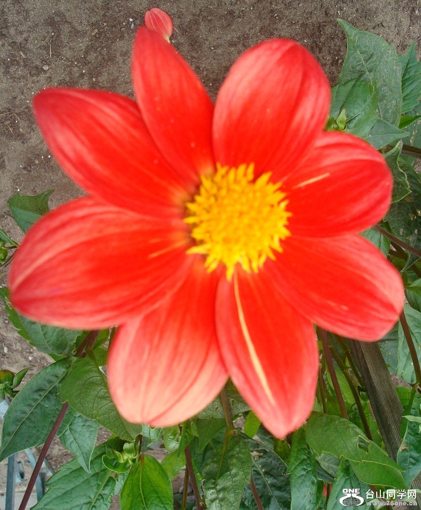 DSC01244-1.jpg