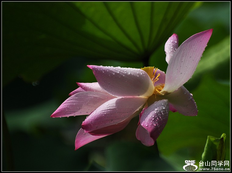 DSC_1220.JPG