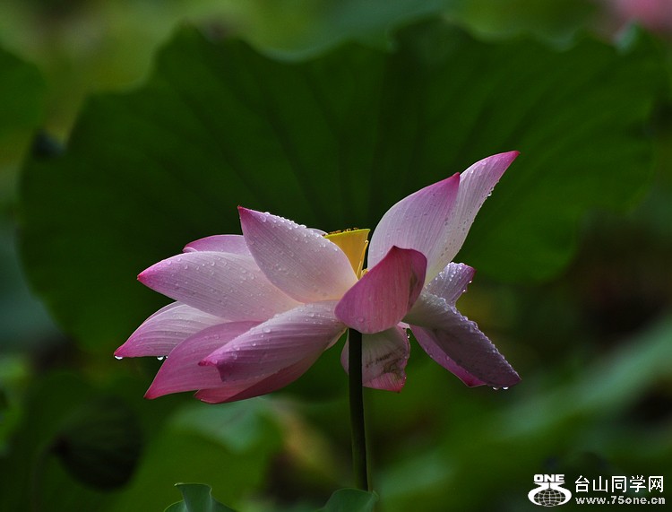 DSC_1214.JPG