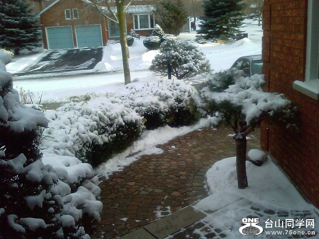 IMAG0060.jpg