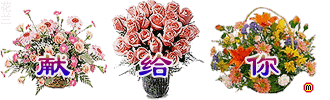 085.gif