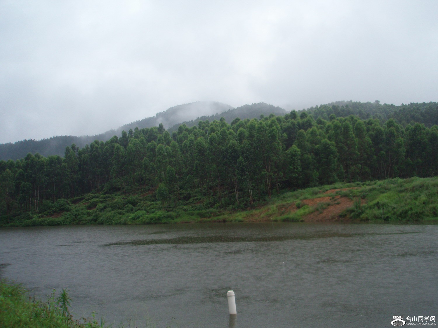P5275474.JPG