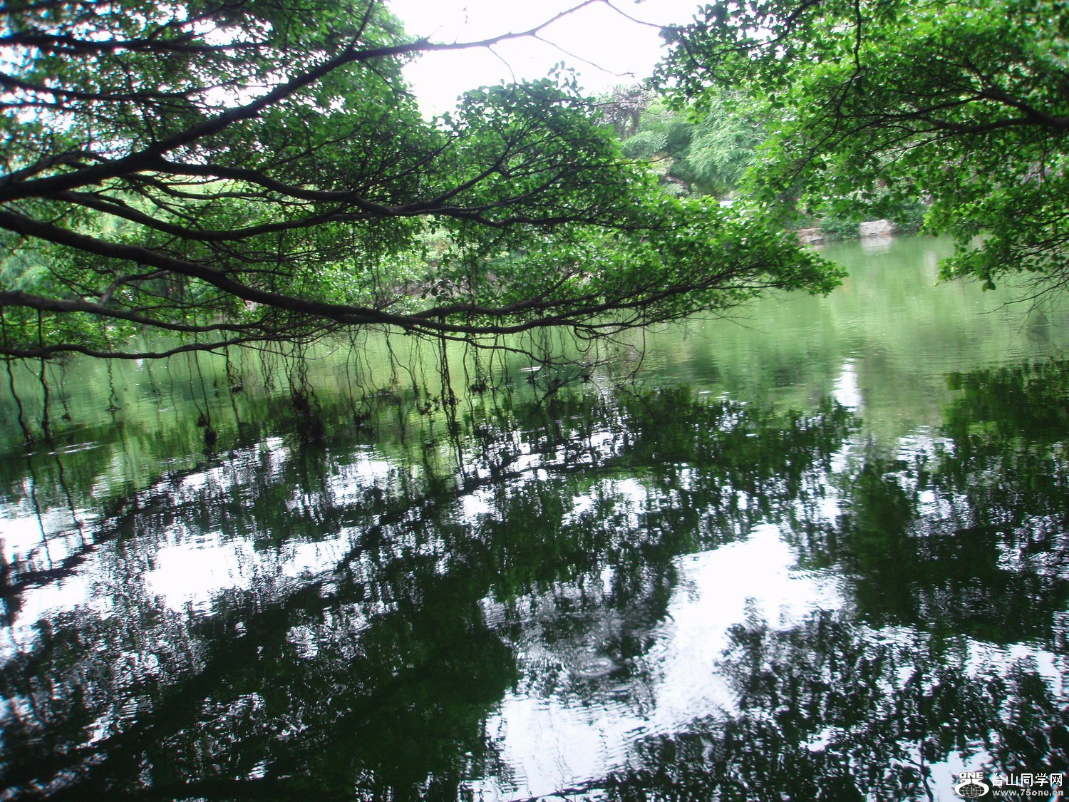 P5225467.JPG
