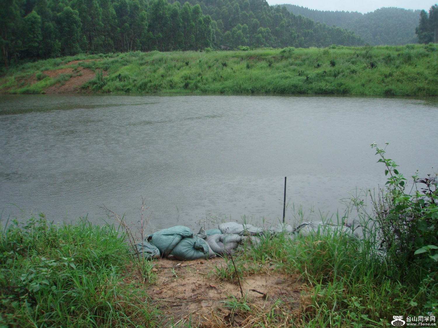 P5275473.JPG