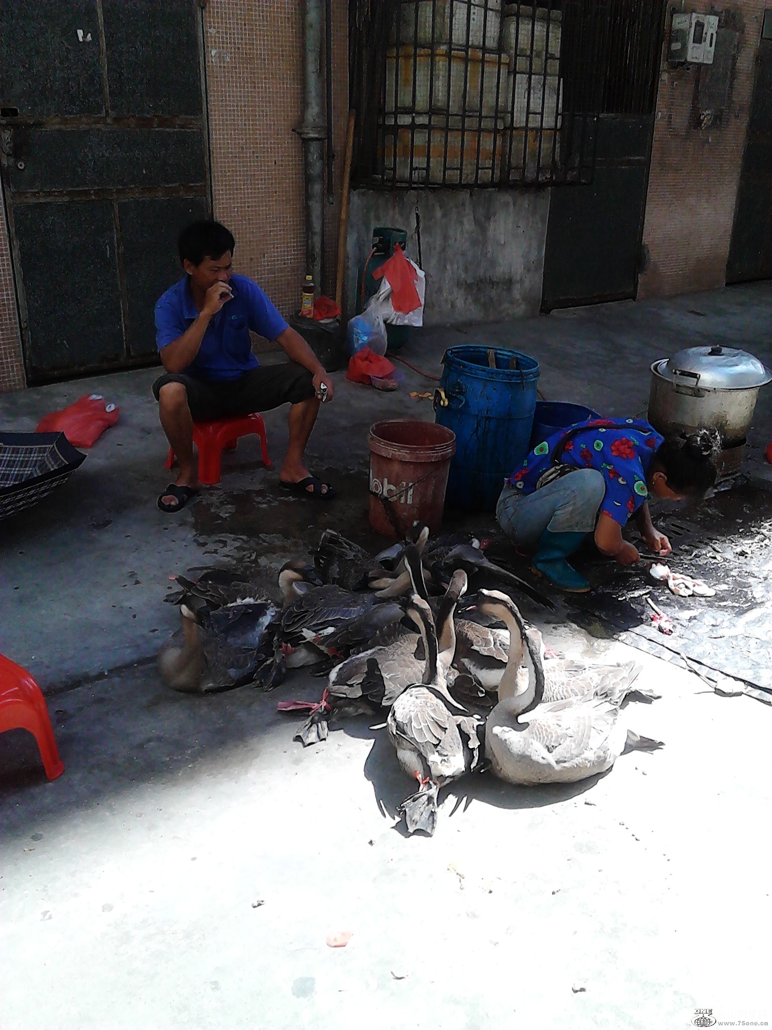IMG_20120710_094358.jpg