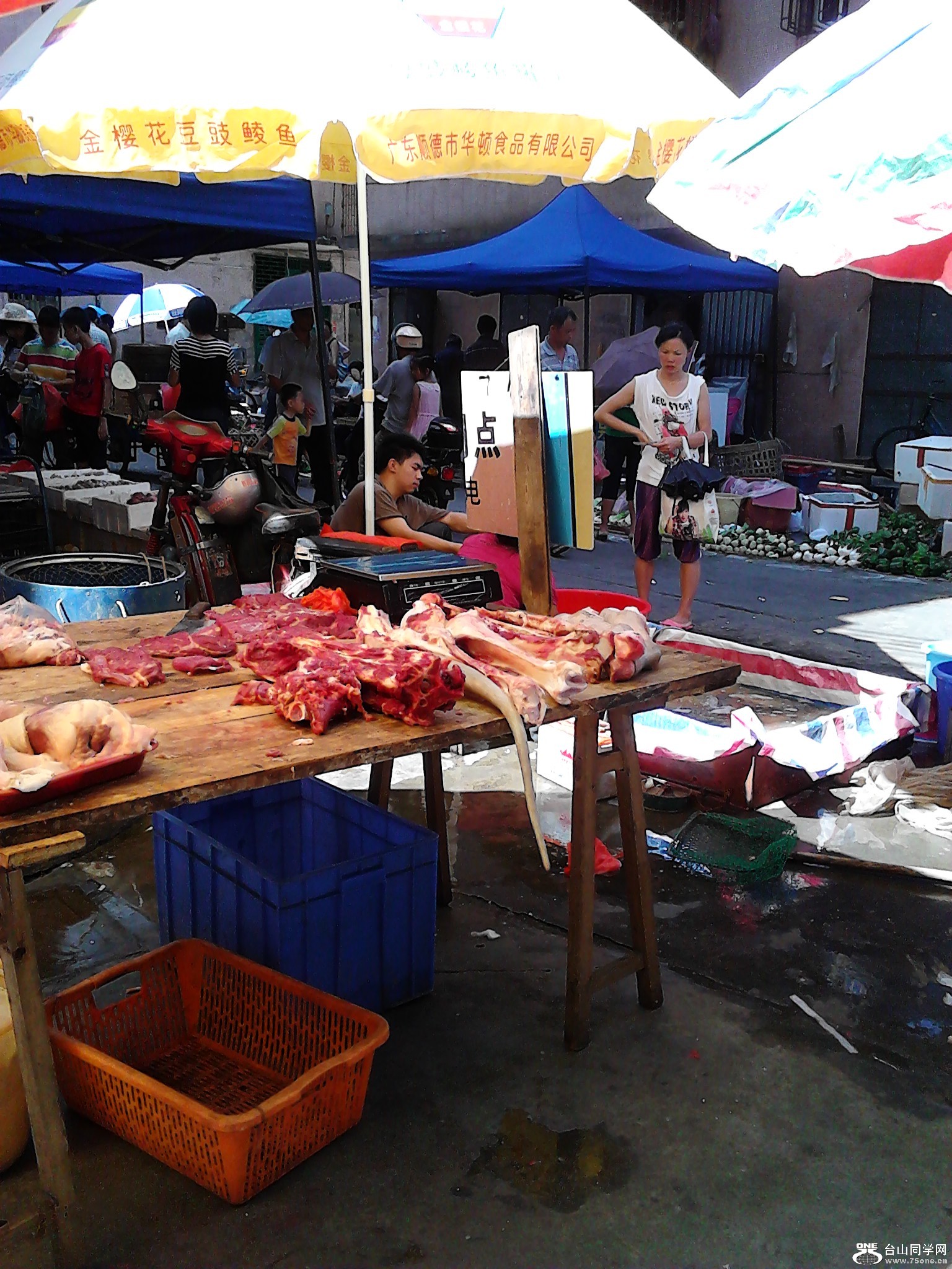 IMG_20120710_094747.jpg