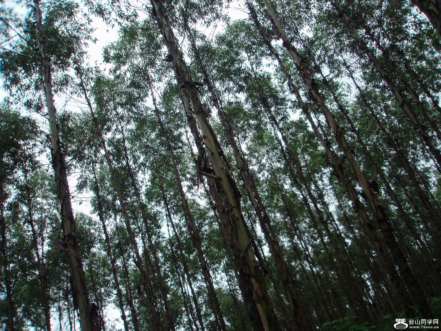 P5275478.JPG