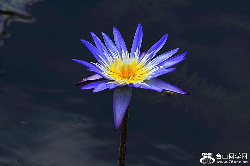 210_6403_5d06f9cbdfebd8b.jpg
