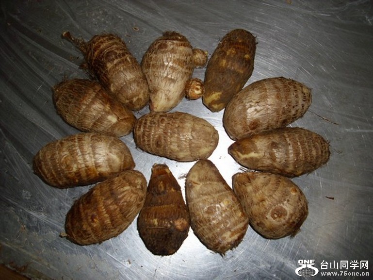 008h_conew49.jpg