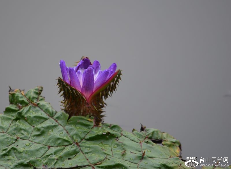 2_5844_01b5d9d6f23ee9f.jpg