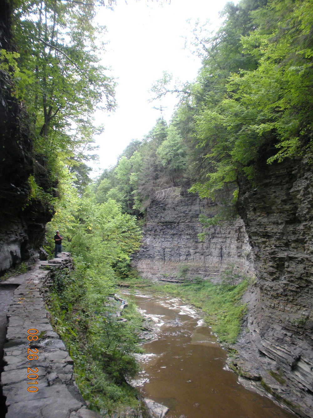 Finger Lakes 287.jpg