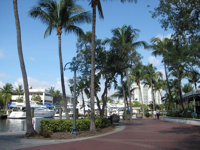 ޵ᷱ.1.JPG