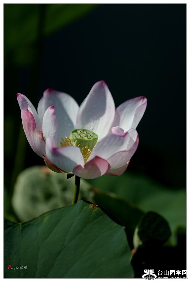 }u -5d3ԇC 043-a.jpg