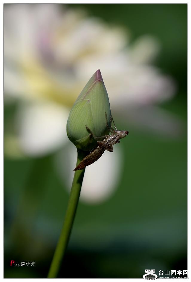 }u -5d3ԇC 125-2.jpg