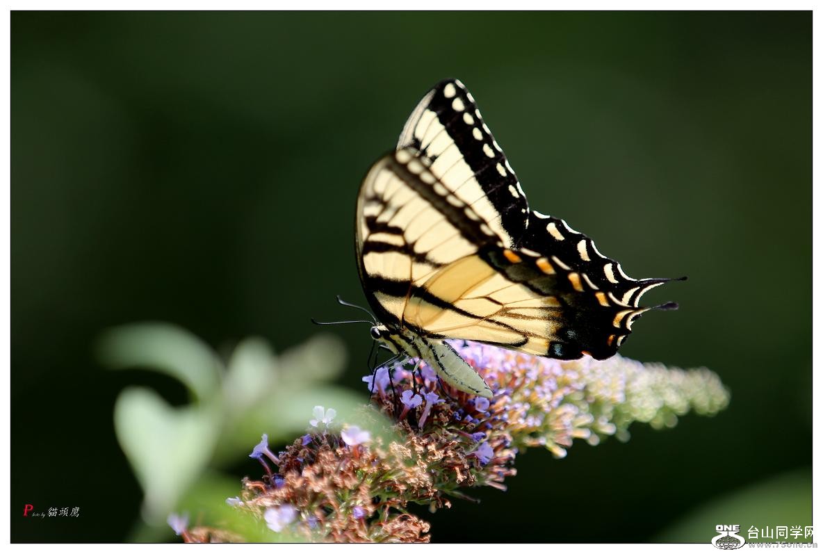 }u -5d3ԇC 260-a.jpg