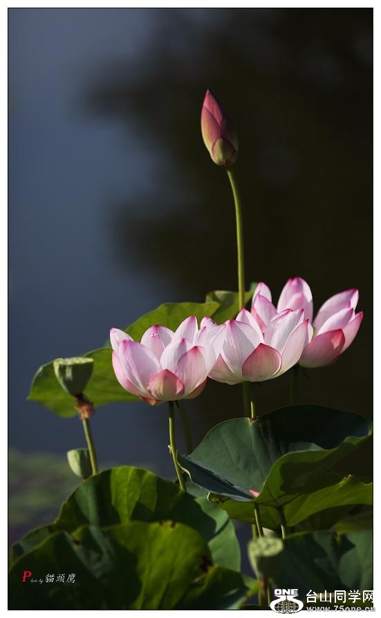 }u -}u -5d3ԇC 044-a.jpg