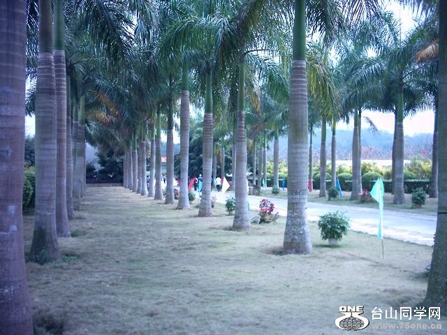 Ƭ 058.jpg