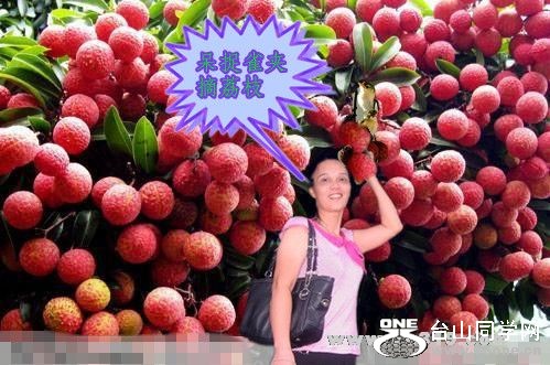 201162523133775217.jpg