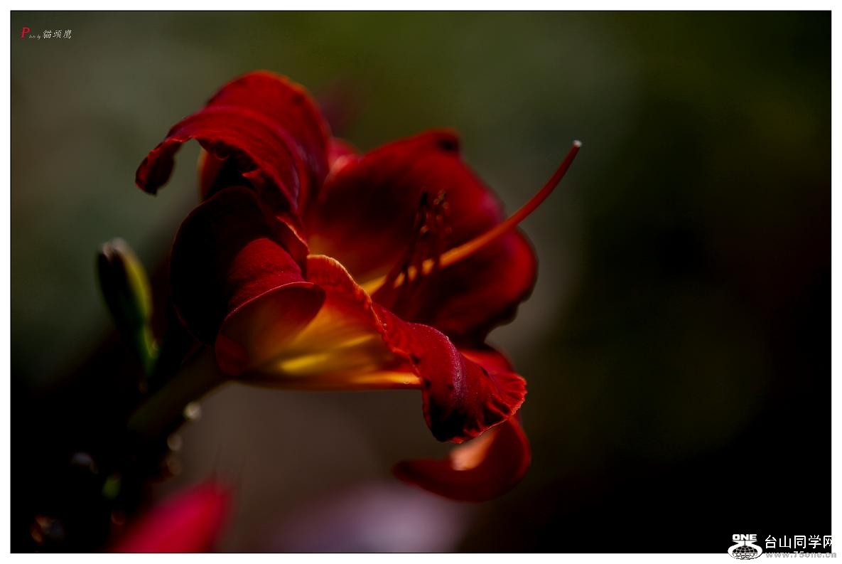 }u -5d3ԇC 182-2.jpg