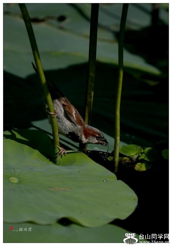 }u -5d3ԇC 096-a.jpg