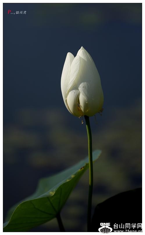 }u -5d3ԇC 034-2.jpg