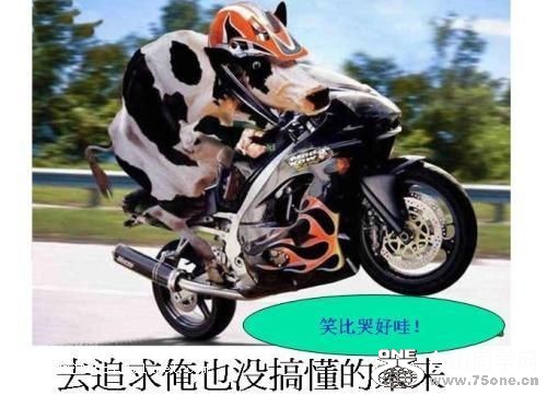 δ6.jpg