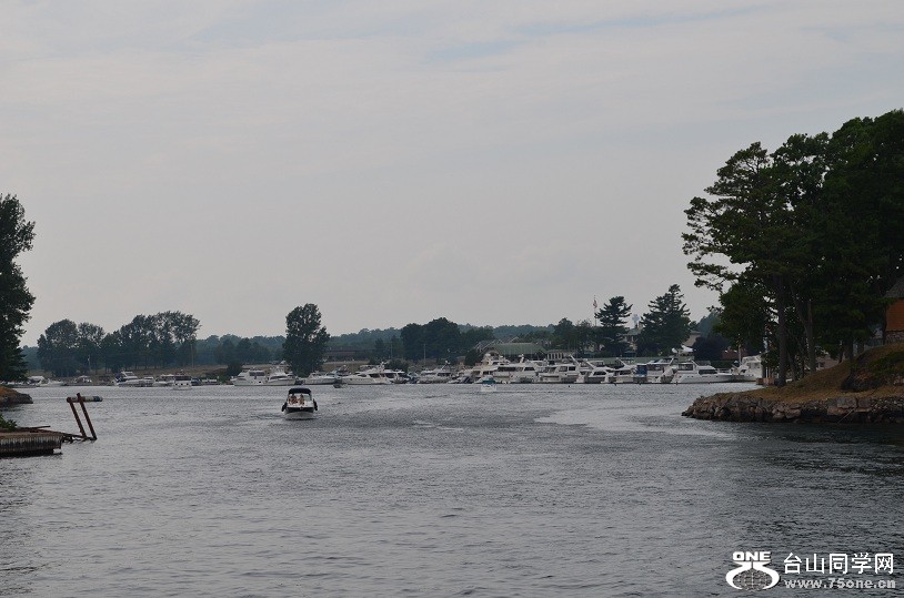 DSC_1385.JPG