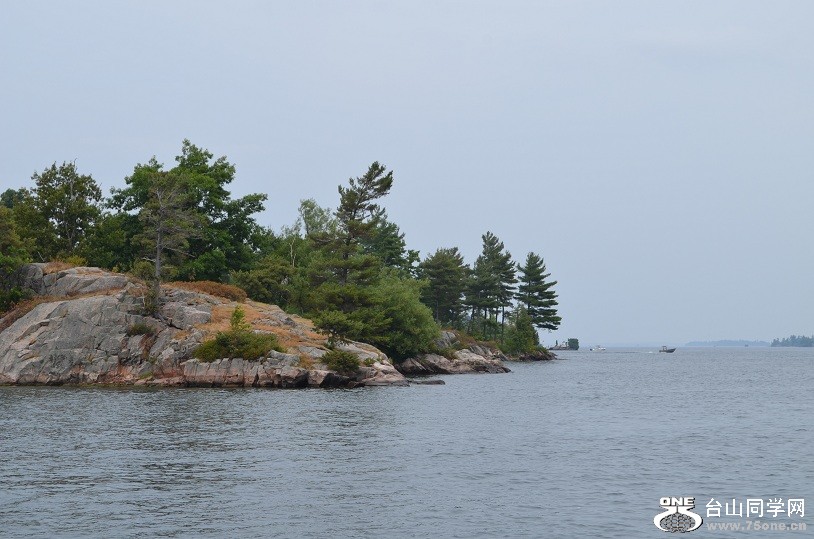 DSC_1316.JPG