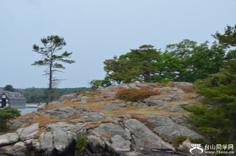DSC_1202.JPG