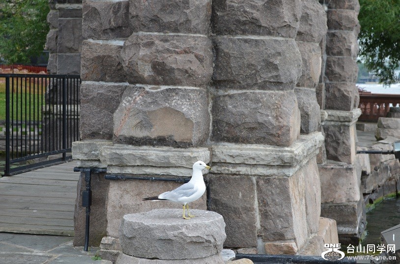 DSC_1283.JPG