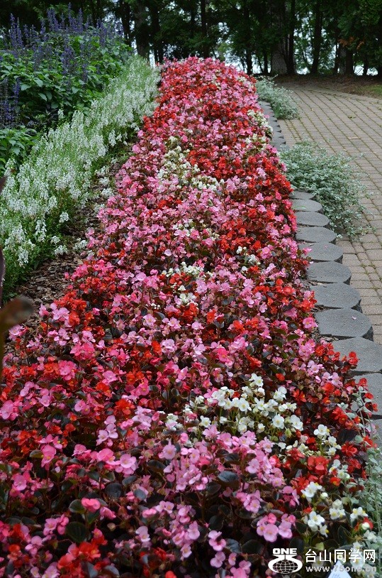 DSC_1234.JPG