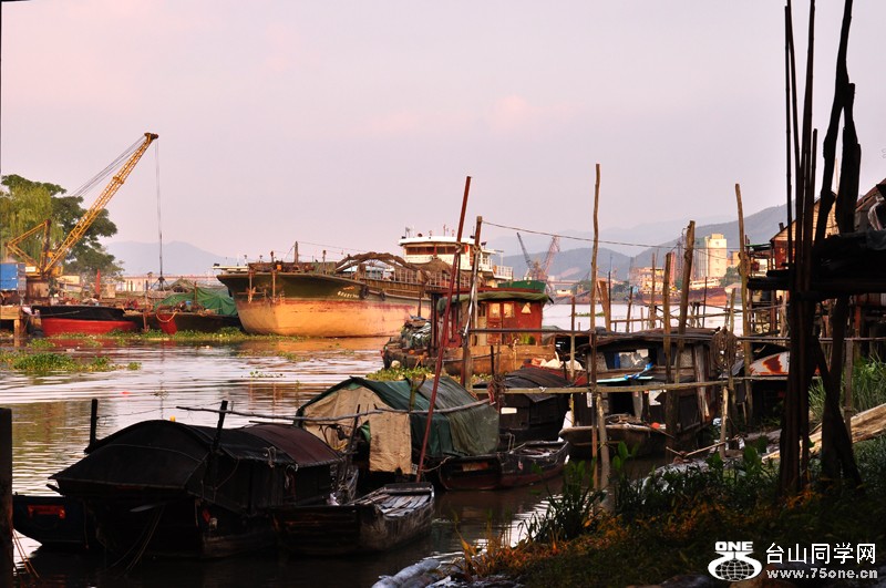 DSC_9564.jpg
