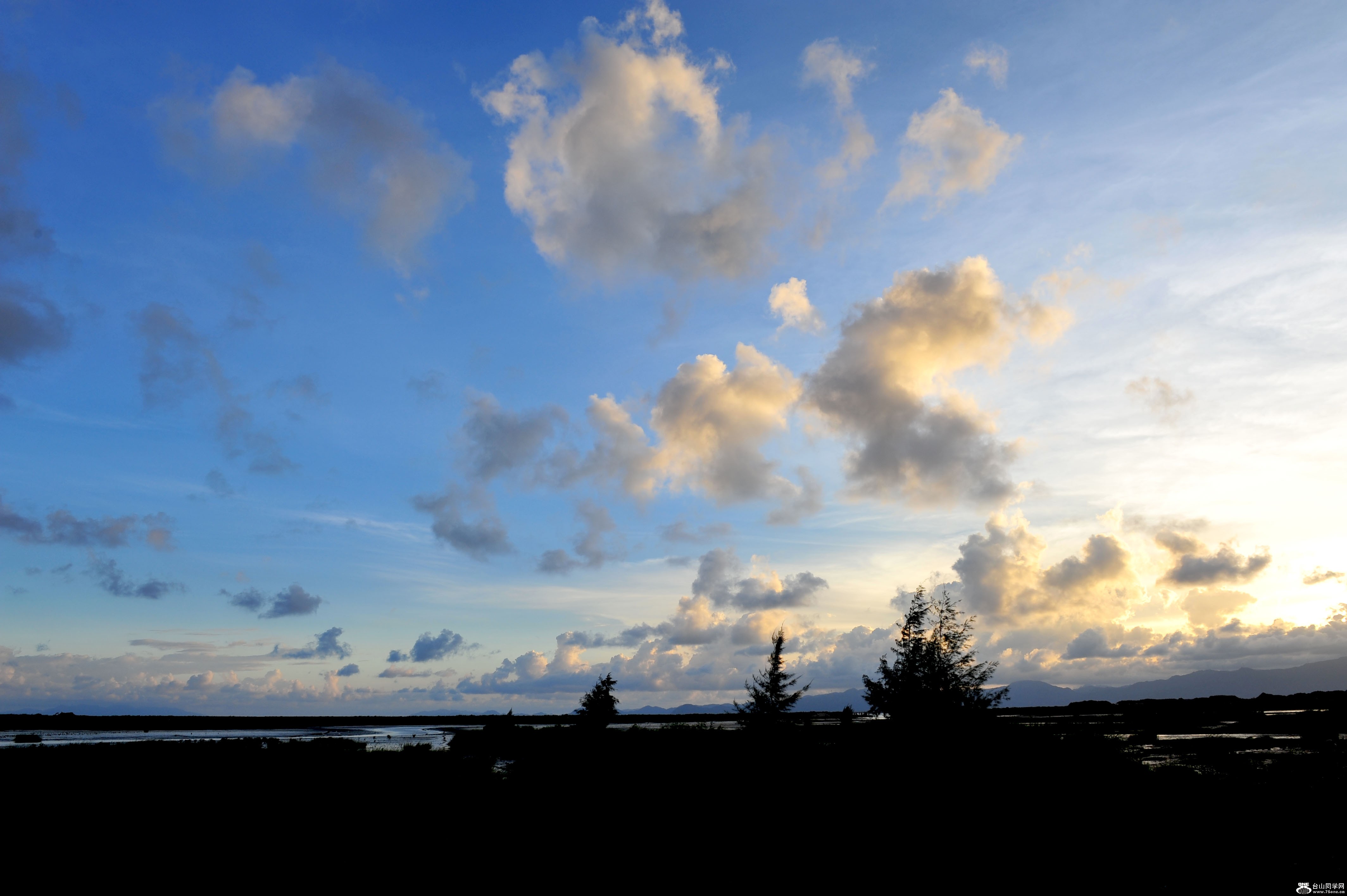 DSC_5265.jpg