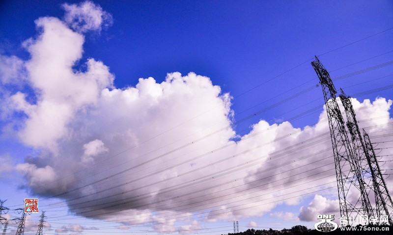 _DSC0863.jpg