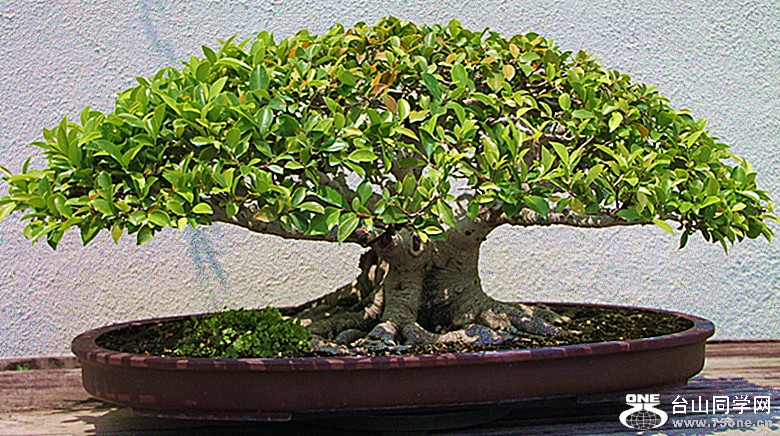 img_7331_.jpg