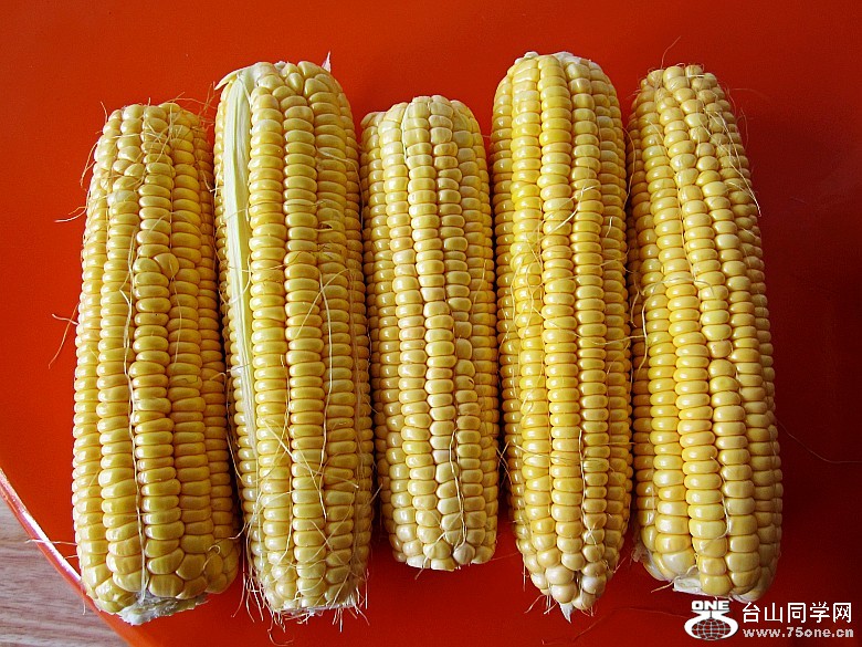 ˮ 031_conew1.jpg