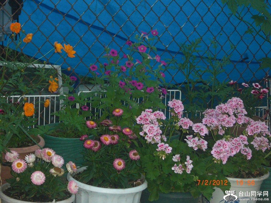 CIMG9143.JPG