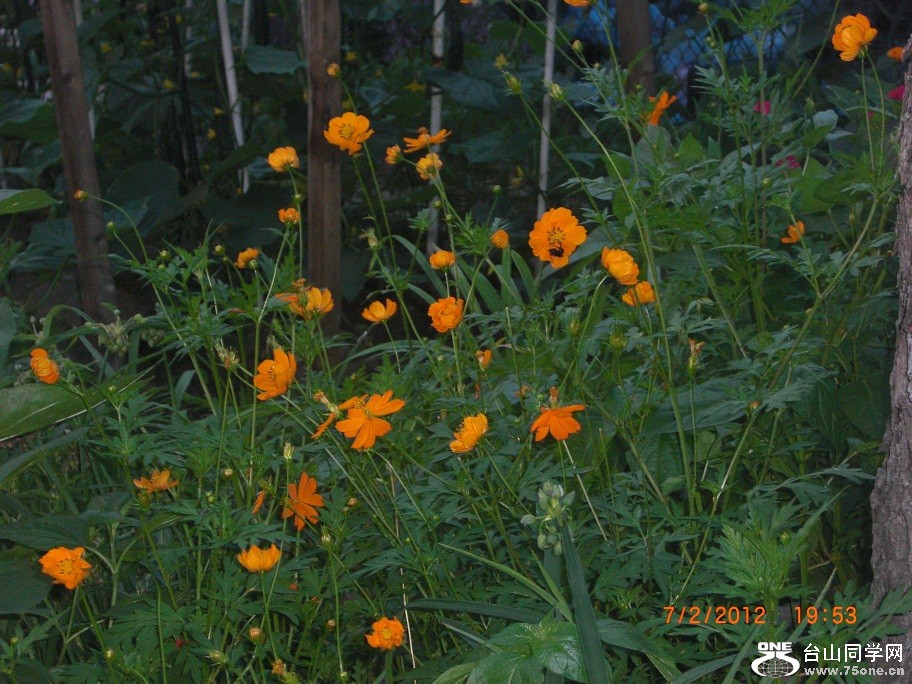 CIMG9136.JPG