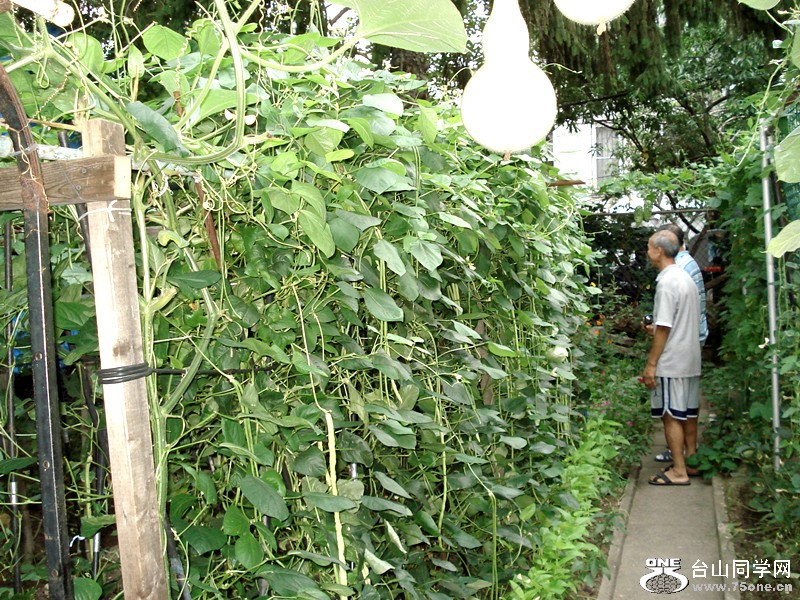 &nbsp;&nbsp;8.9.2012 030_.jpg