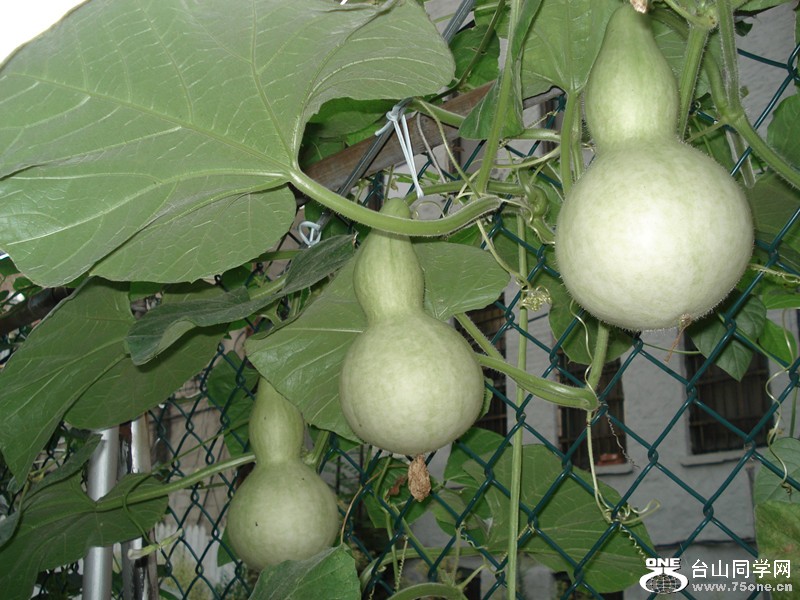 &nbsp;&nbsp;8.9.2012 027_.jpg