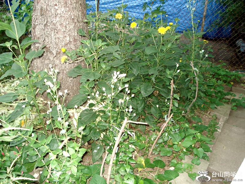 &nbsp;&nbsp;8.9.2012 009_.jpg