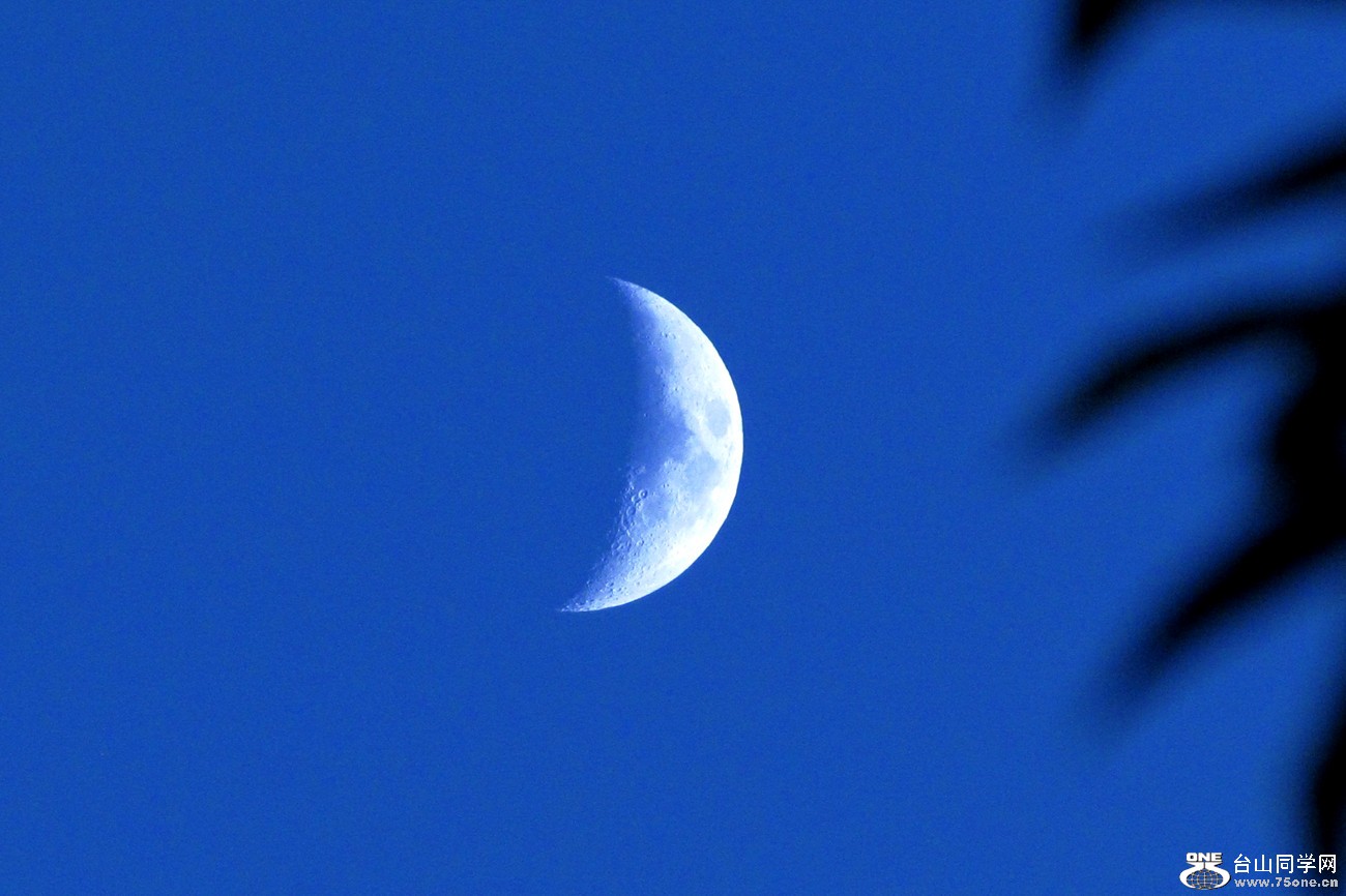 IMG_2011_7.jpg