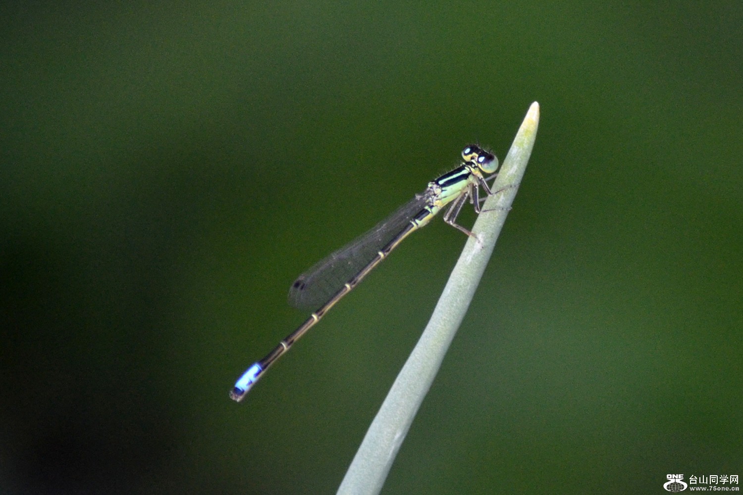 dsc_0067.jpg