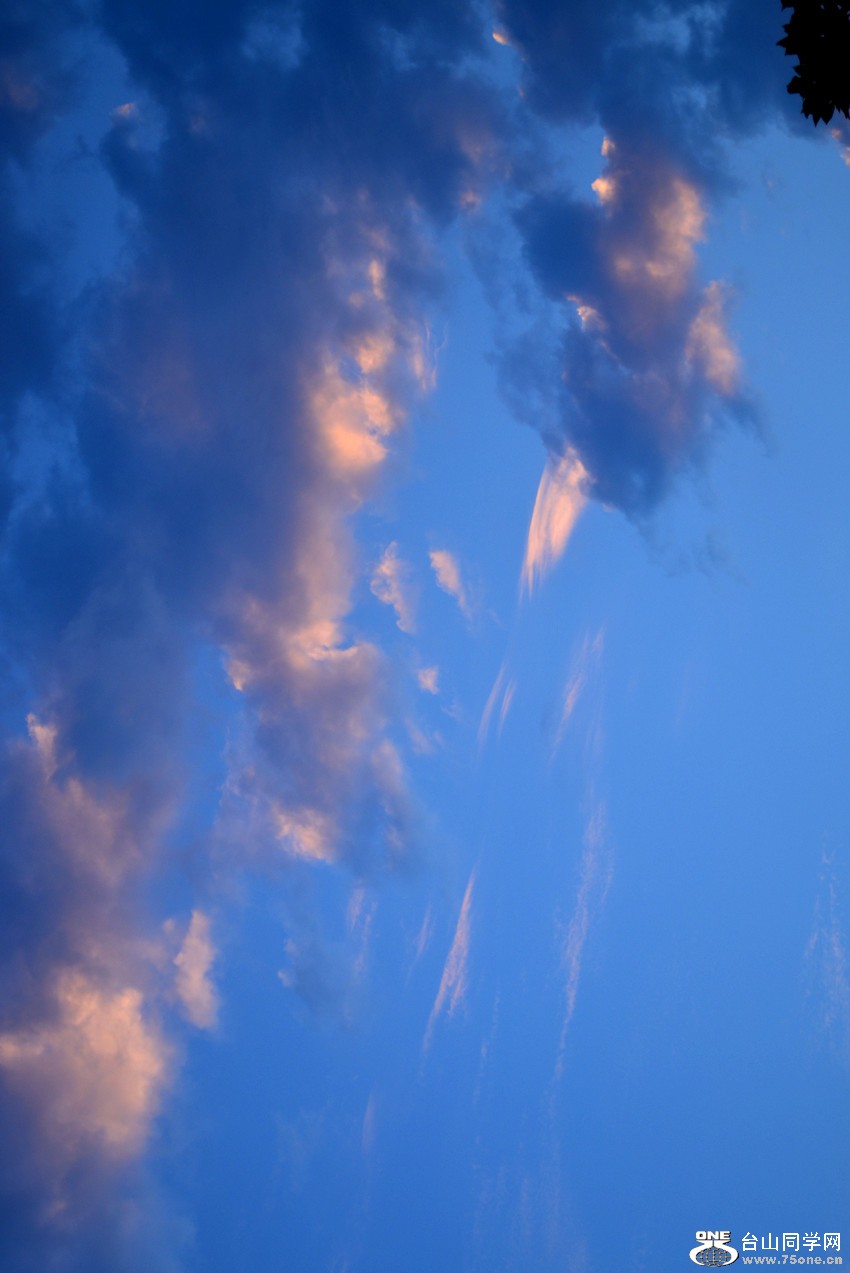 DSC_0769_42.jpg