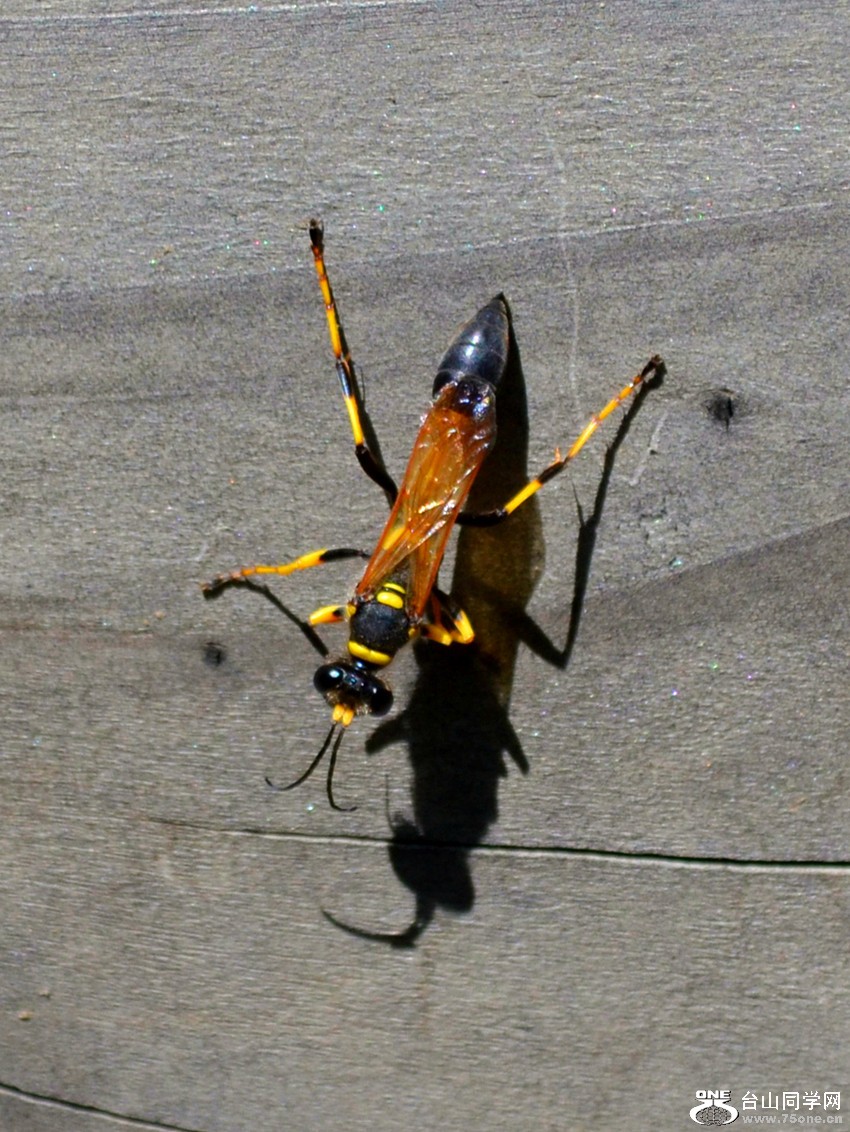 dsc_0118_42.jpg