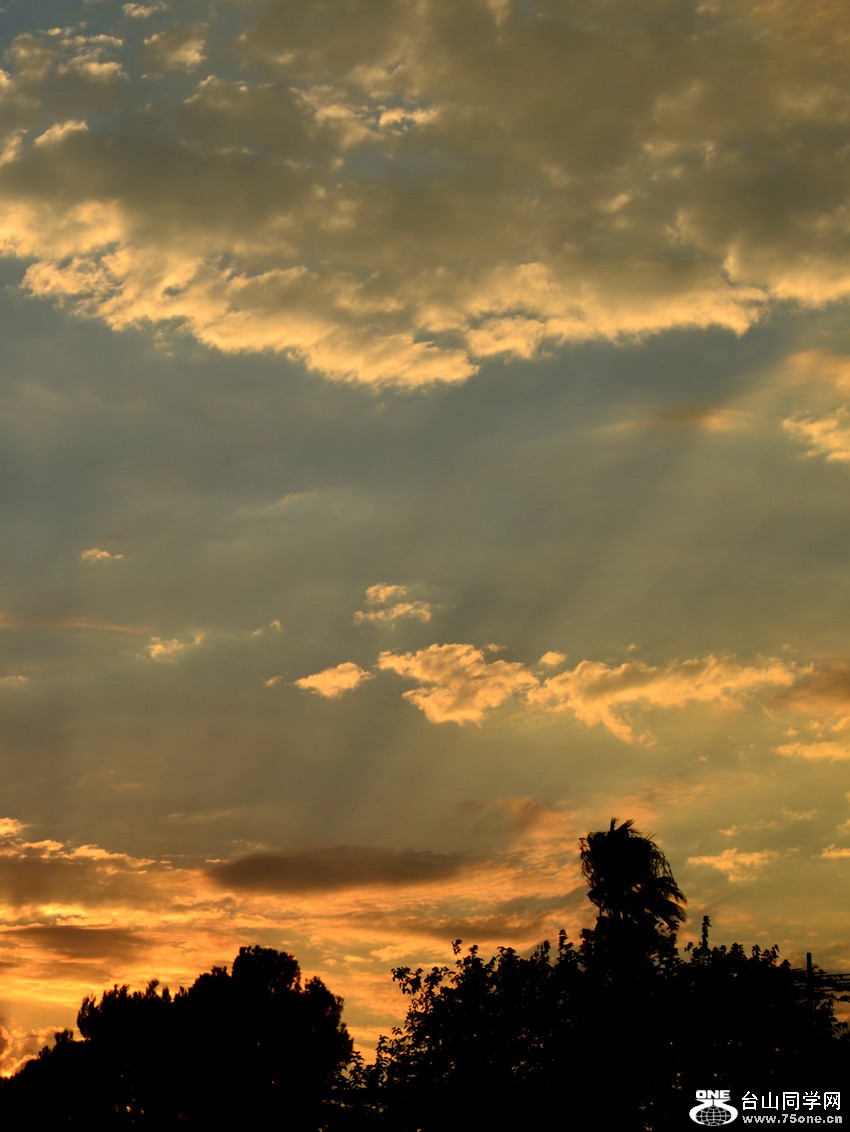 DSC_0532_2.jpg