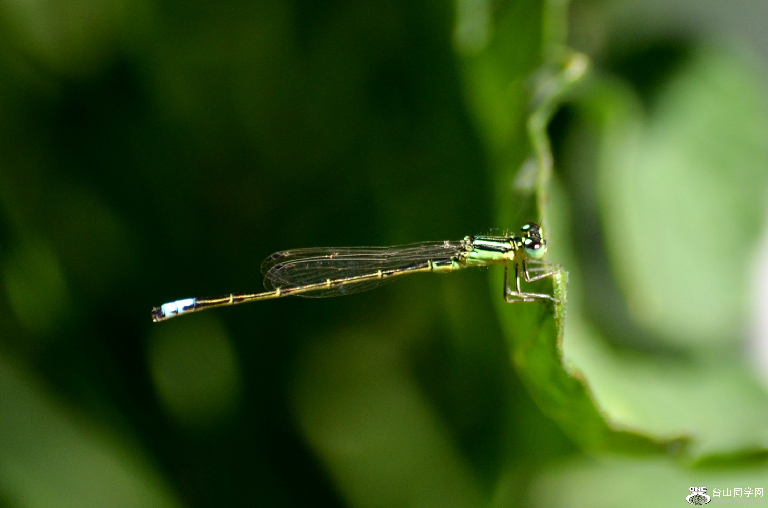dsc_0016.jpg