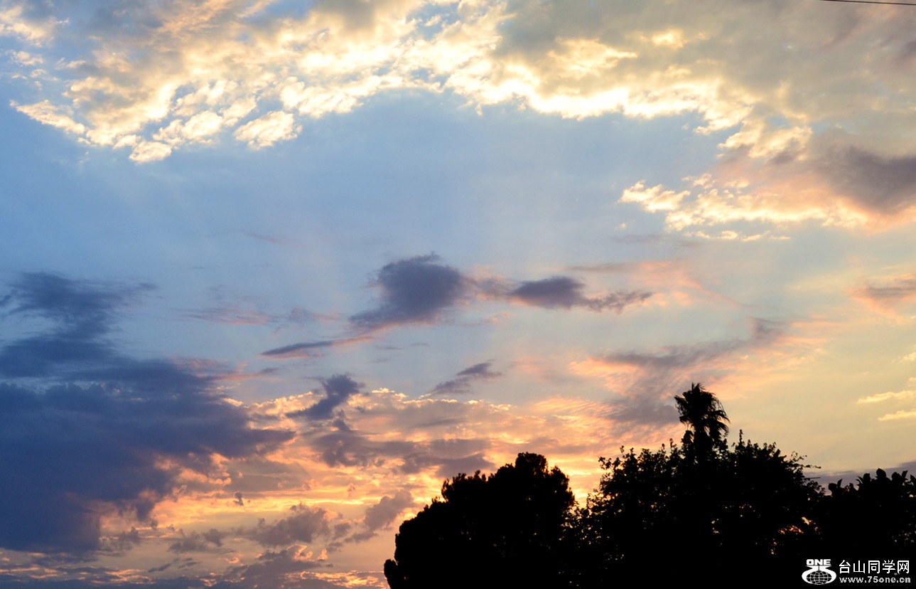 DSC_0600_24.jpg